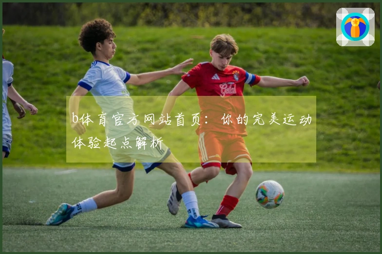 b体育官方网站首页：你的完美运动体验起点解析