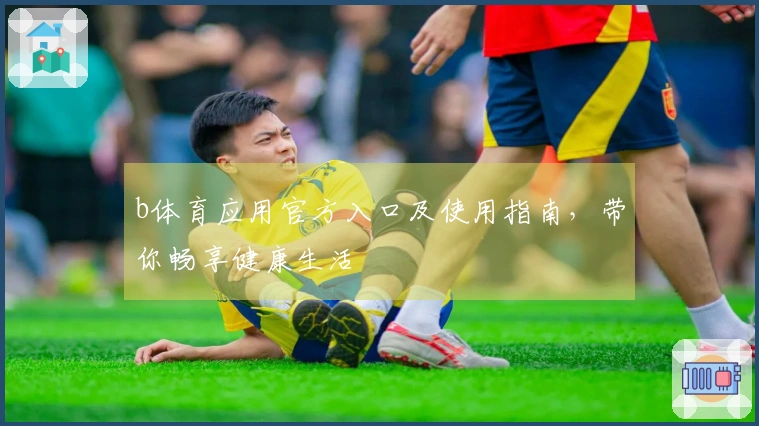 b体育应用官方入口及使用指南,带你畅享健康生活