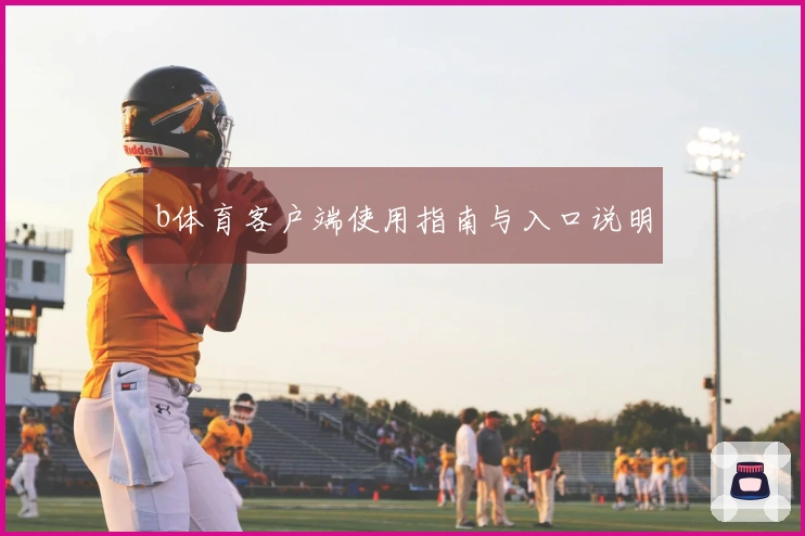 b体育客户端使用指南与入口说明