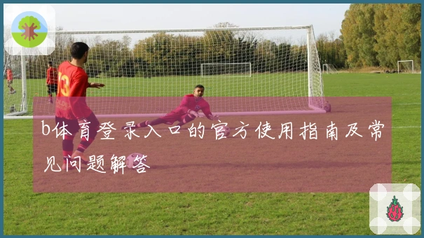 b体育登录入口的官方使用指南及常见问题解答