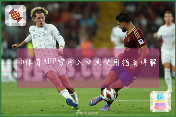 b体育APP官方入口及使用指南详解