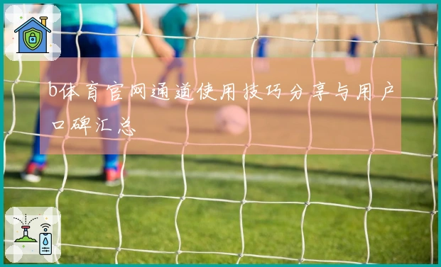 b体育官网通道使用技巧分享与用户口碑汇总
