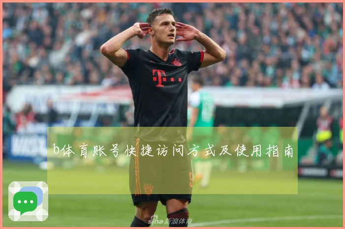 b体育账号快捷访问方式及使用指南