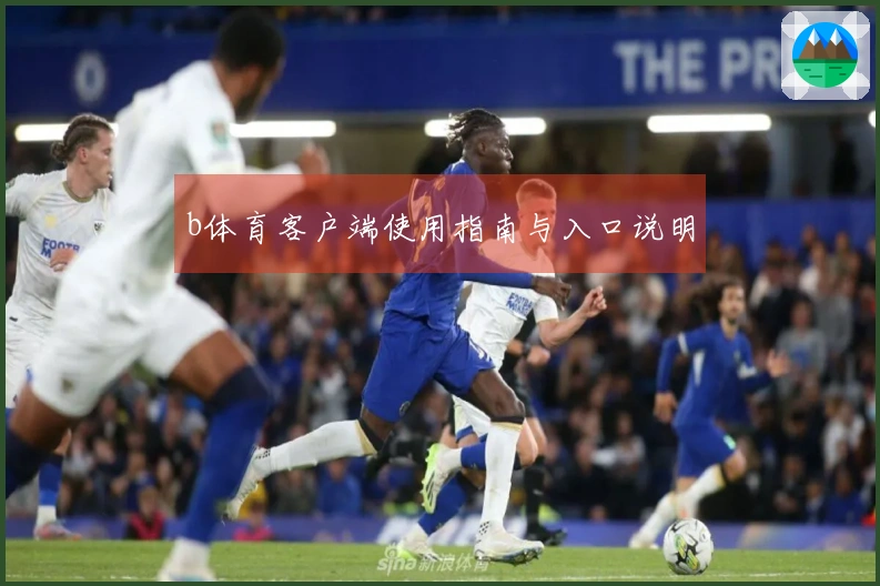 b体育客户端使用指南与入口说明