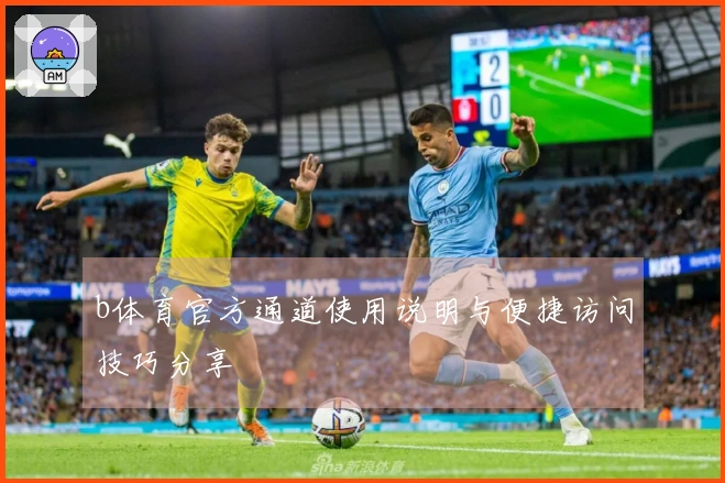 b体育官方通道使用说明与便捷访问技巧分享