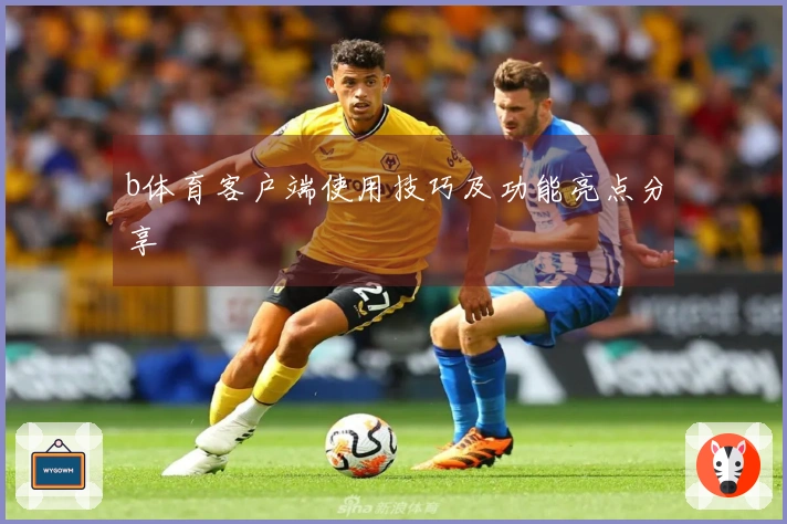 b体育客户端使用技巧及功能亮点分享