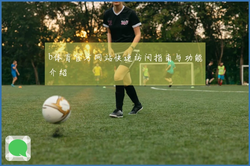 b体育官方网站快速访问指南与功能介绍