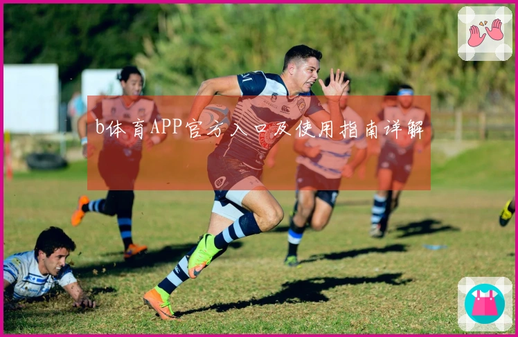 b体育APP官方入口及使用指南详解